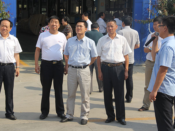 邢台市市长孟祥伟到ag真人国际线缆集团视察