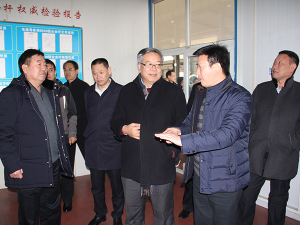 2018年1月11日，，，，，，，，邢台市人大常委会副主任周世伟带领省、市人大代表集中视察第五组到ag真人国际线缆集团进行视察