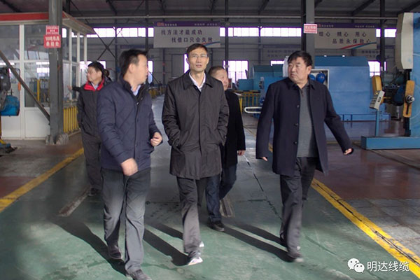 省市场监管局局长金洪钧调研ag真人国际