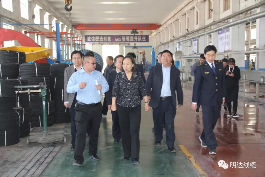 河北省市场监管局党组书记丁锦霞莅临ag真人国际考察调研